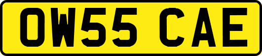 OW55CAE