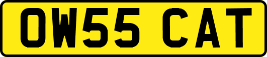 OW55CAT
