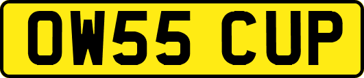 OW55CUP