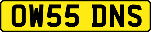 OW55DNS