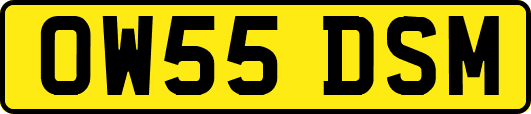 OW55DSM