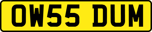 OW55DUM