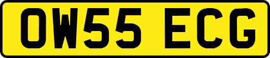 OW55ECG