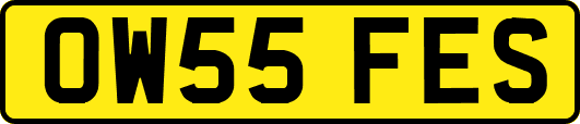 OW55FES