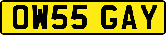 OW55GAY