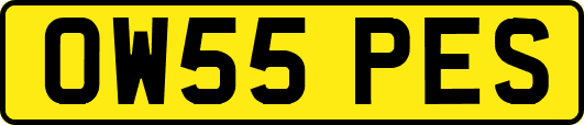 OW55PES