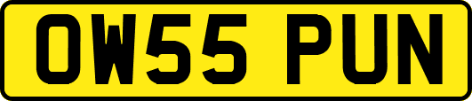 OW55PUN