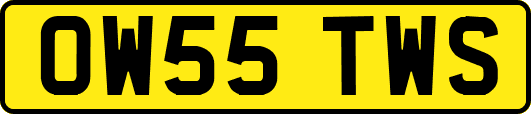 OW55TWS
