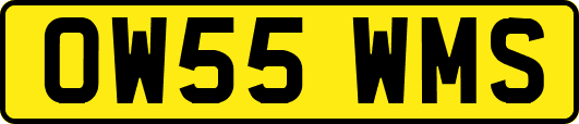 OW55WMS