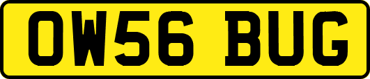 OW56BUG