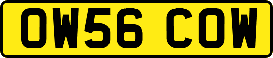 OW56COW