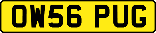 OW56PUG