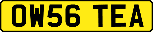 OW56TEA