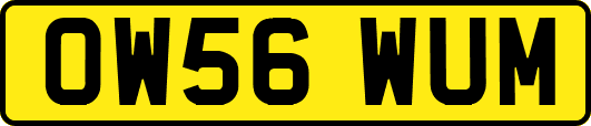 OW56WUM