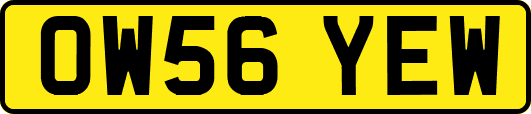 OW56YEW