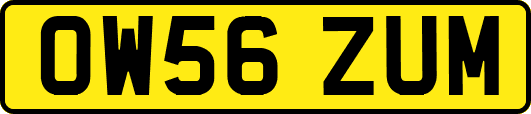 OW56ZUM