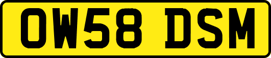 OW58DSM