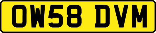 OW58DVM