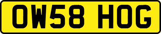 OW58HOG