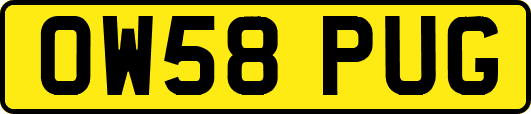 OW58PUG