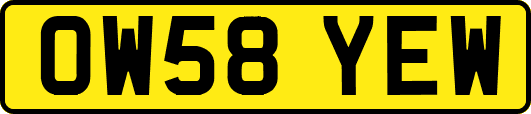 OW58YEW