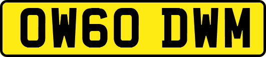 OW60DWM