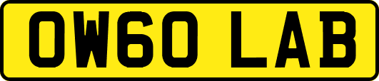 OW60LAB