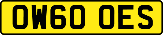 OW60OES