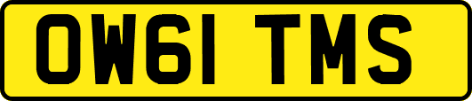 OW61TMS