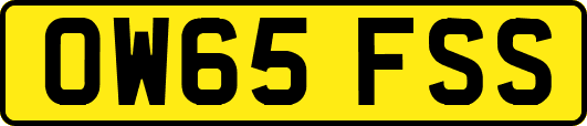 OW65FSS
