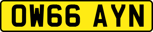 OW66AYN