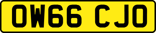 OW66CJO
