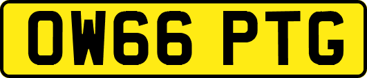 OW66PTG