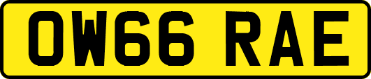 OW66RAE