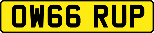 OW66RUP