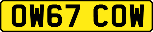 OW67COW