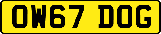 OW67DOG