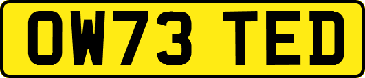 OW73TED