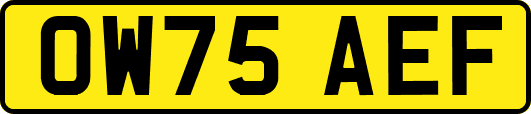 OW75AEF