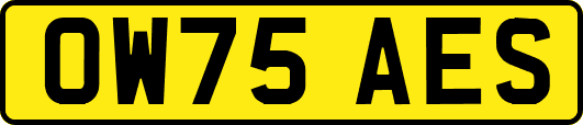 OW75AES