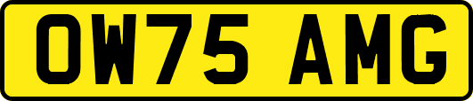OW75AMG