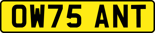 OW75ANT