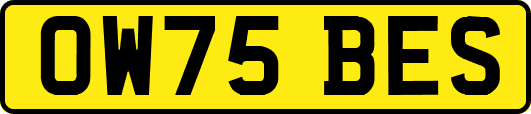 OW75BES