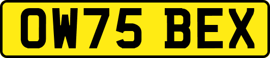 OW75BEX
