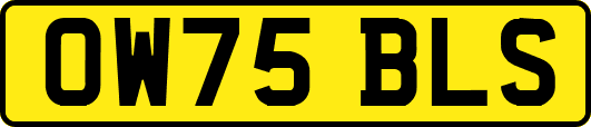 OW75BLS
