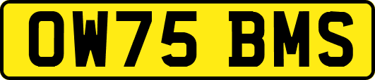 OW75BMS
