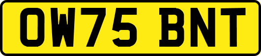 OW75BNT