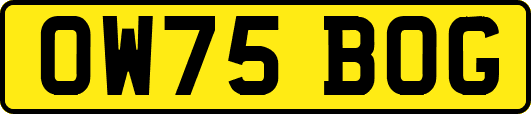 OW75BOG