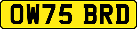 OW75BRD