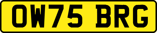 OW75BRG